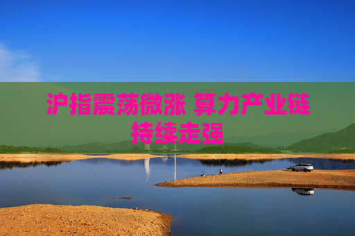 沪指震荡微涨 算力产业链持续走强  第1张