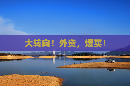 大转向！外资，爆买！