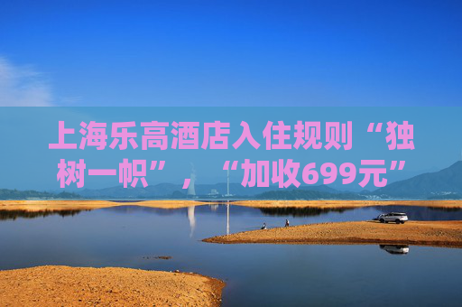 上海乐高酒店入住规则“独树一帜”，“加收699元”引质疑