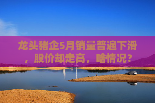 龙头猪企5月销量普遍下滑，股价却走高，啥情况？