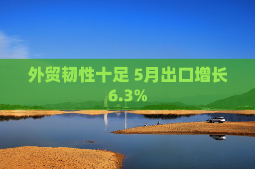 外贸韧性十足 5月出口增长6.3%  第1张