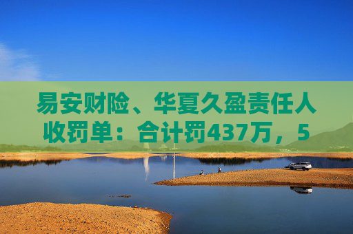 易安财险、华夏久盈责任人收罚单：合计罚437万，5人终身禁业  第1张