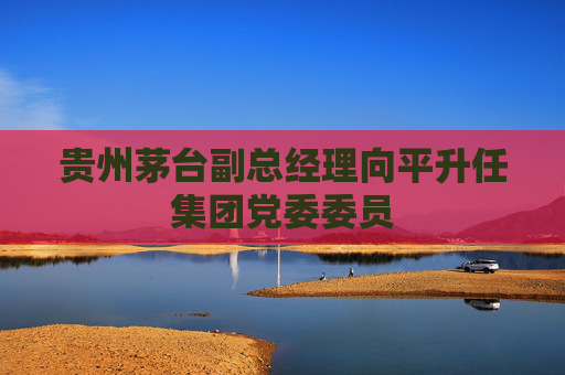 贵州茅台副总经理向平升任集团党委委员  第1张