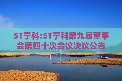 ST宁科:ST宁科第九届董事会第四十次会议决议公告  第1张