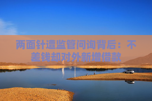 两面针遭监管问询背后：不差钱却对外新增借款  第1张