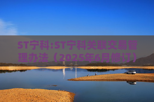 ST宁科:ST宁科关联交易管理办法（2025年6月修订）  第1张