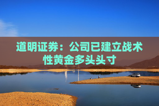 道明证券：公司已建立战术性黄金多头头寸
