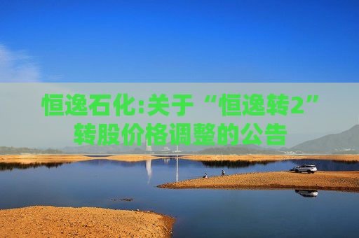 恒逸石化:关于“恒逸转2”转股价格调整的公告  第1张