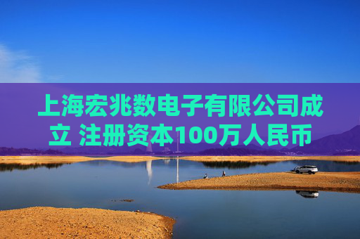上海宏兆数电子有限公司成立 注册资本100万人民币