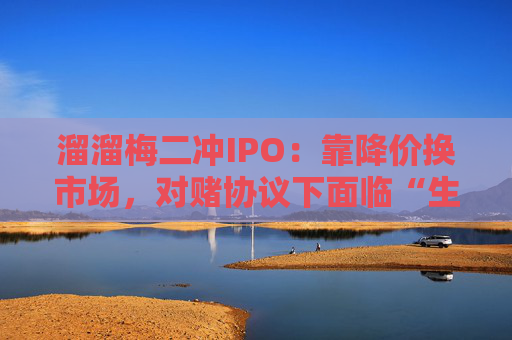 溜溜梅二冲IPO：靠降价换市场，对赌协议下面临“生死大考”