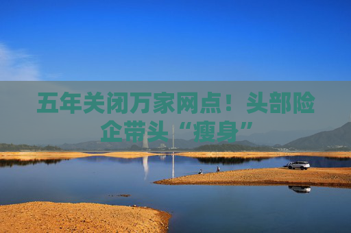 五年关闭万家网点！头部险企带头“瘦身”