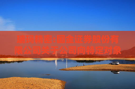 瑞玛精密:国金证券股份有限公司关于公司向特定对象发行股票之上市保荐书（修订稿）