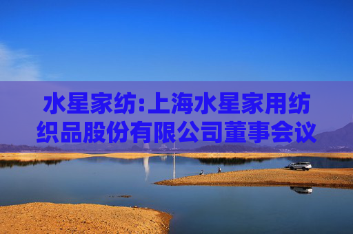 水星家纺:上海水星家用纺织品股份有限公司董事会议事规则（2025年06月修订）
