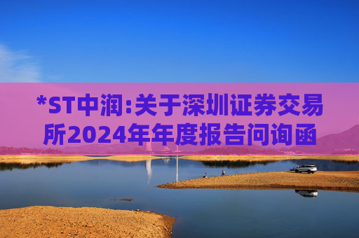 *ST中润:关于深圳证券交易所2024年年度报告问询函回复的公告