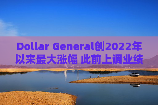 Dollar General创2022年以来最大涨幅 此前上调业绩预期