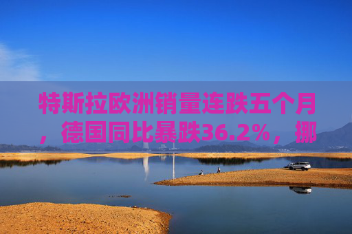 特斯拉欧洲销量连跌五个月，德国同比暴跌36.2%，挪威市场成亮点