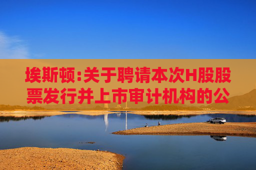 埃斯顿:关于聘请本次H股股票发行并上市审计机构的公告