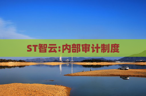 ST智云:内部审计制度