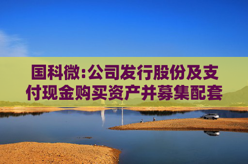 国科微:公司发行股份及支付现金购买资产并募集配套资金暨关联交易预案摘要