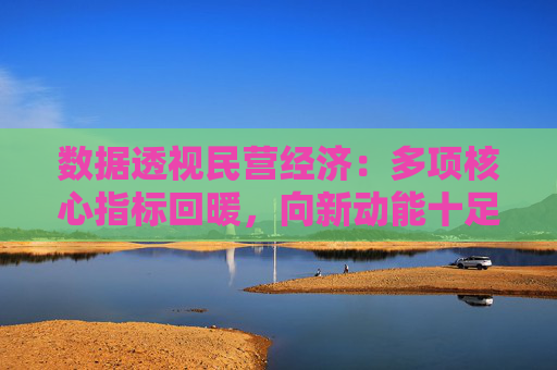 数据透视民营经济：多项核心指标回暖，向新动能十足
