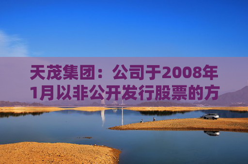 天茂集团：公司于2008年1月以非公开发行股票的方式发行了8200万股人民币普通股