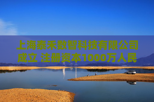 上海泰禾数智科技有限公司成立 注册资本1000万人民币