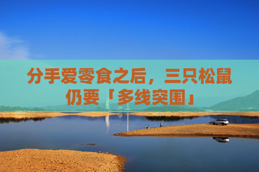 分手爱零食之后，三只松鼠仍要「多线突围」