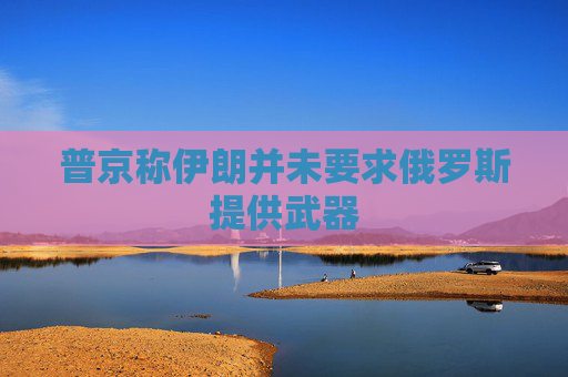 普京称伊朗并未要求俄罗斯提供武器