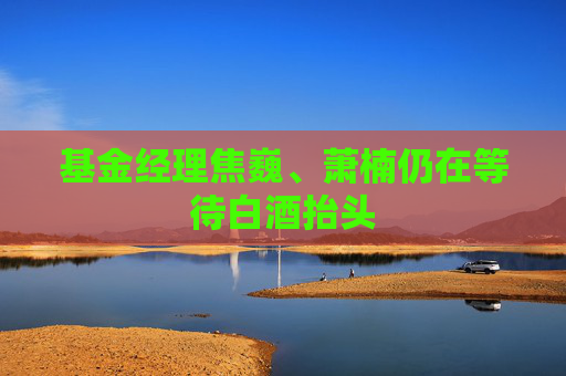 基金经理焦巍、萧楠仍在等待白酒抬头