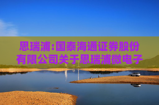 思瑞浦:国泰海通证券股份有限公司关于思瑞浦微电子科技（苏州）股份有限公司使用部分闲置募集资金进行现金管理的核查意见