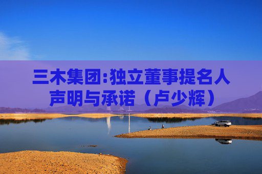 三木集团:独立董事提名人声明与承诺（卢少辉）  第1张