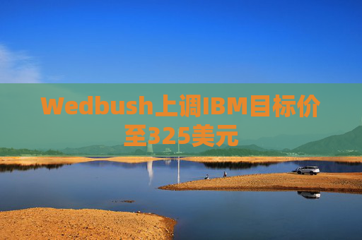 Wedbush上调IBM目标价至325美元