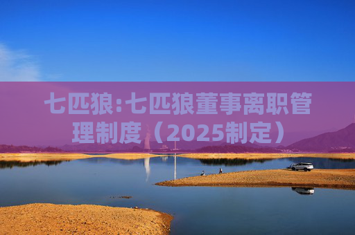 七匹狼:七匹狼董事离职管理制度（2025制定）