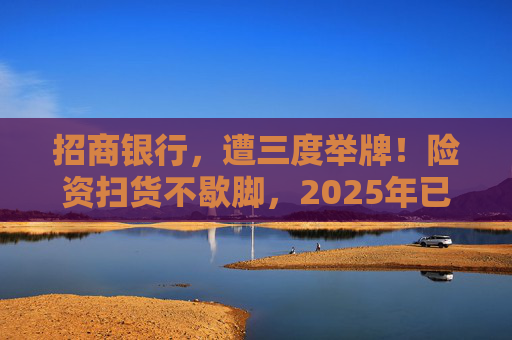 招商银行，遭三度举牌！险资扫货不歇脚，2025年已有13家上市公司被险资举牌