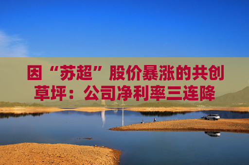 因“苏超”股价暴涨的共创草坪：公司净利率三连降