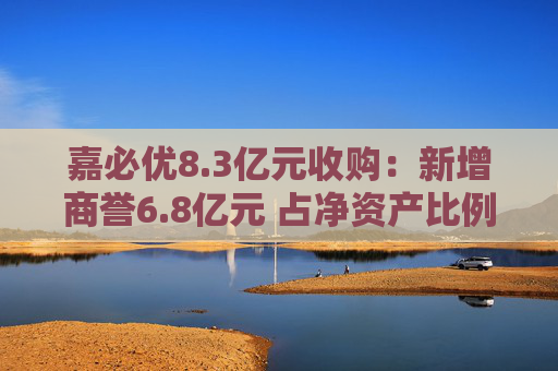 嘉必优8.3亿元收购：新增商誉6.8亿元 占净资产比例高达30%
