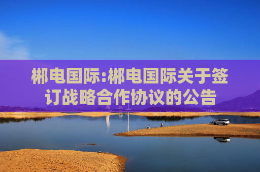 郴电国际:郴电国际关于签订战略合作协议的公告  第1张