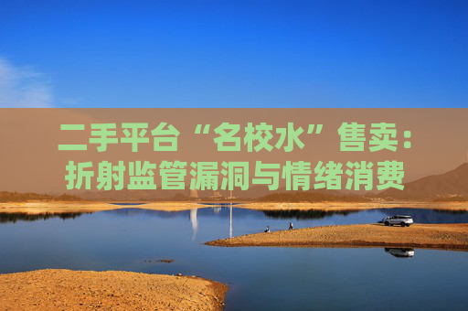 二手平台“名校水”售卖：折射监管漏洞与情绪消费