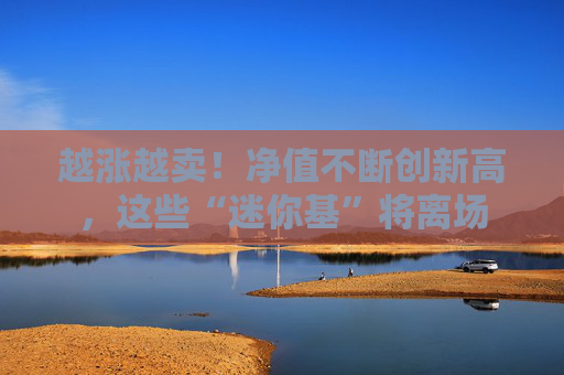 越涨越卖！净值不断创新高，这些“迷你基”将离场
