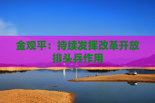 金观平：持续发挥改革开放排头兵作用