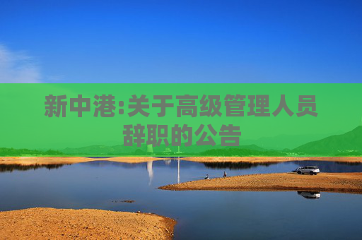 新中港:关于高级管理人员辞职的公告