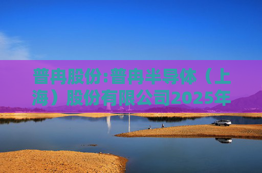 普冉股份:普冉半导体（上海）股份有限公司2025年第二次临时股东大会决议公告