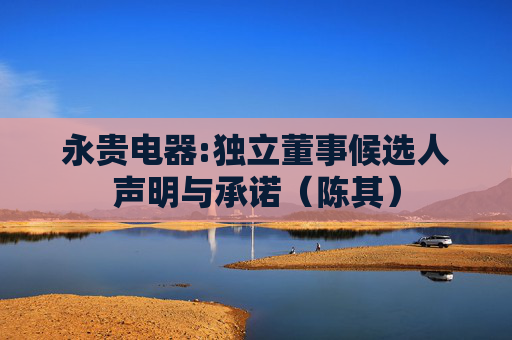 永贵电器:独立董事候选人声明与承诺（陈其）
