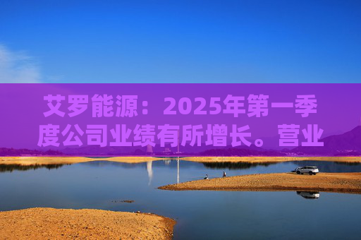 艾罗能源：2025年第一季度公司业绩有所增长。营业收入为7.99亿元