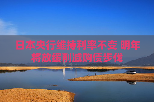 日本央行维持利率不变 明年将放缓削减购债步伐