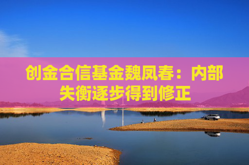 创金合信基金魏凤春：内部失衡逐步得到修正