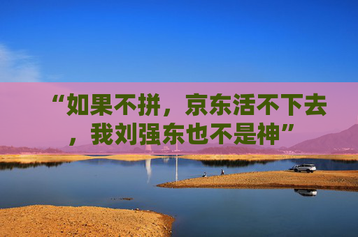 “如果不拼，京东活不下去，我刘强东也不是神”