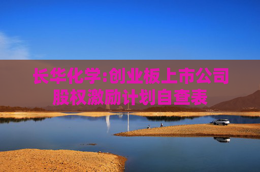长华化学:创业板上市公司股权激励计划自查表
