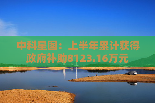 中科星图：上半年累计获得政府补助8123.16万元
