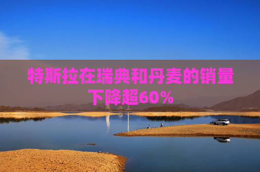 特斯拉在瑞典和丹麦的销量下降超60%